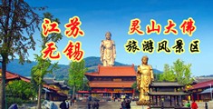 www.好紧内射江苏无锡灵山大佛旅游风景区